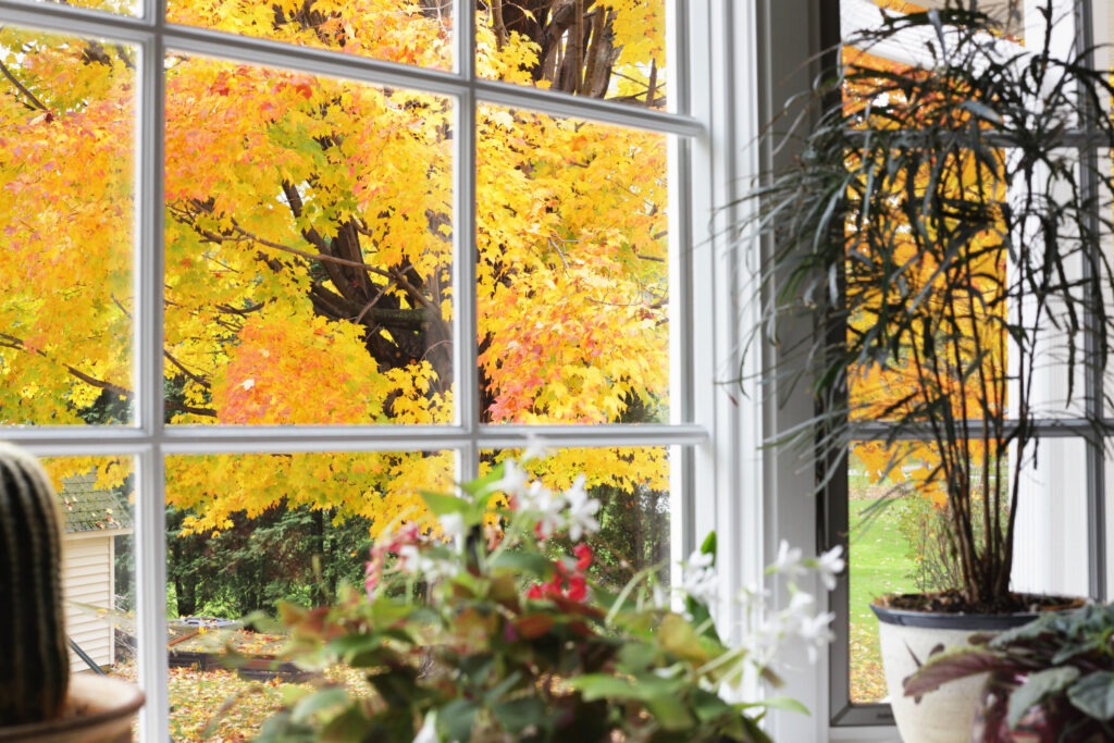 Haus im Herbst Innenansicht durchs Fenster